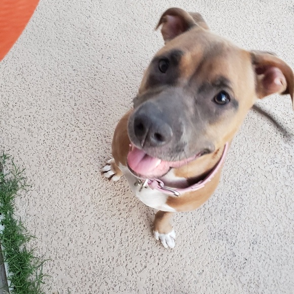 Meet your Posher, David - Picture 1 of 1